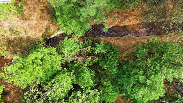 23333 Gurney Station Rd, Twain Harte, CA 95383