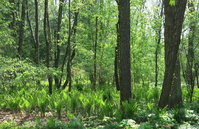 W331S4025 Connemara DRIVE, Dousman, WI 53118