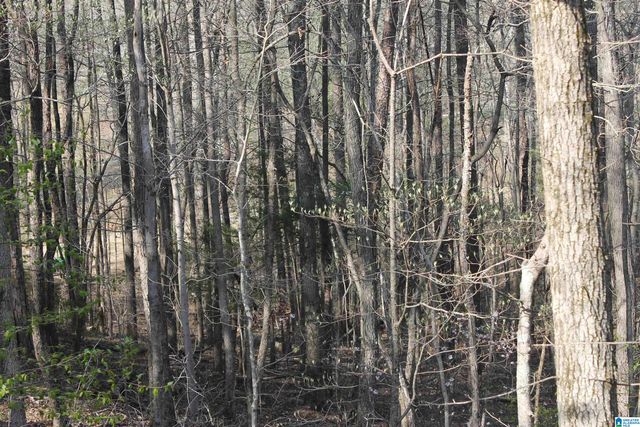 8913 MARSH MOUNTAIN ROAD, Pinson, AL 35126