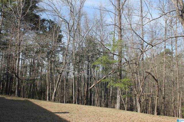 8913 MARSH MOUNTAIN ROAD, Pinson, AL 35126