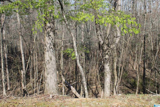 8913 MARSH MOUNTAIN ROAD, Pinson, AL 35126