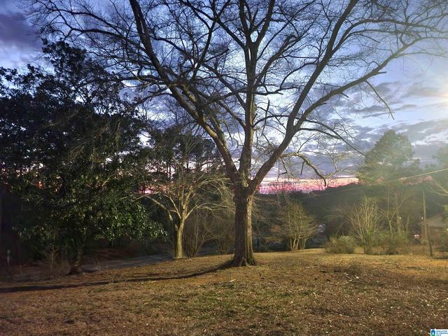 8913 MARSH MOUNTAIN ROAD, Pinson, AL 35126