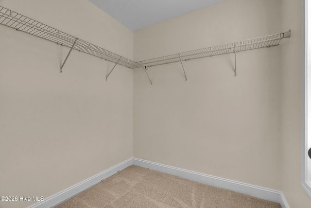 501 Shad Boat Court, Jacksonville, NC 28546