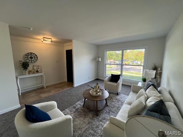 6530 Farm Pond Court, Florissant, MO 63033