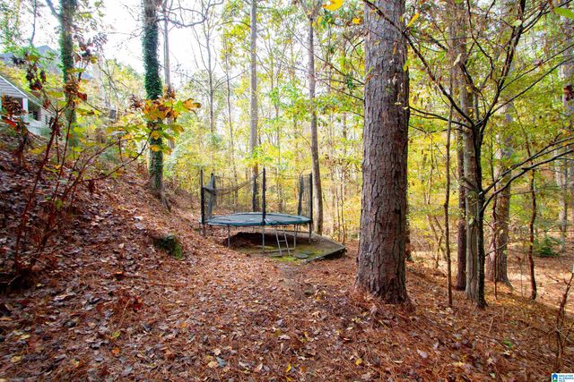 2100 RIVERINE OAKS PLACE, Hoover, AL 35244