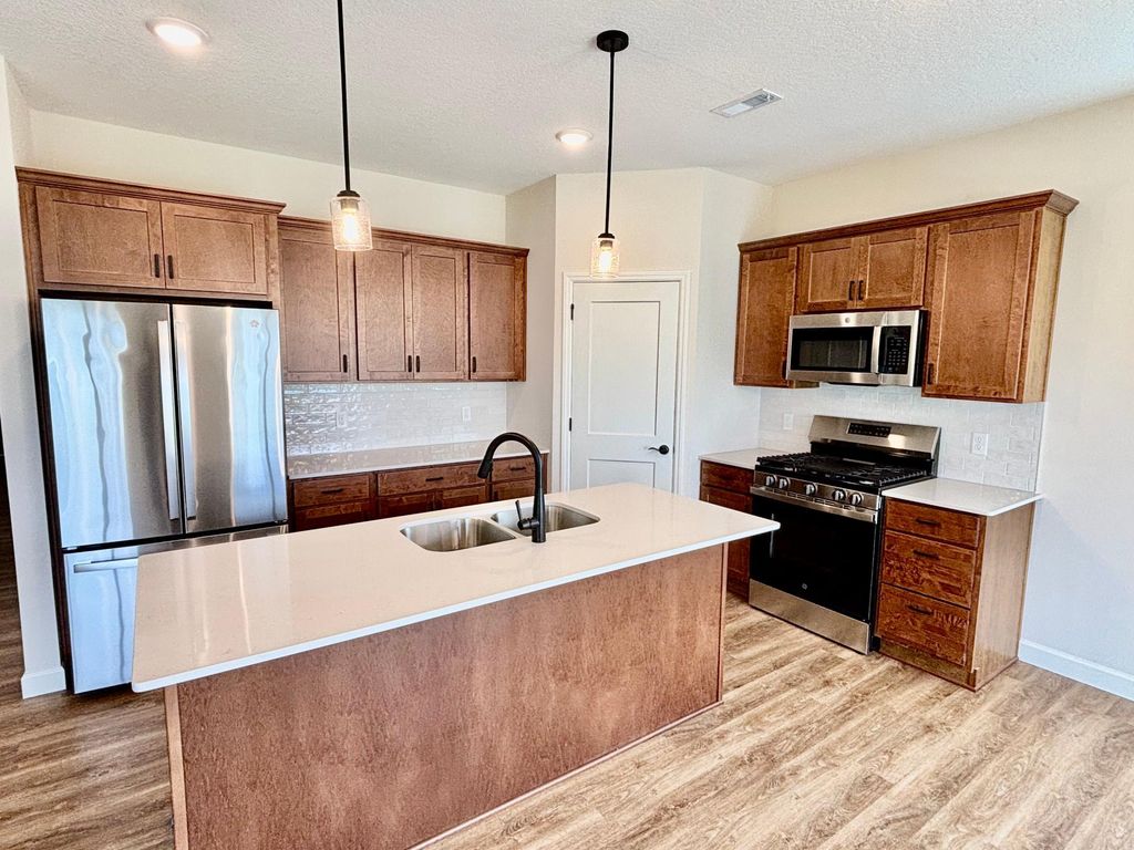 290 Emmy Lane, Hanover, MN 55341 — photo 2