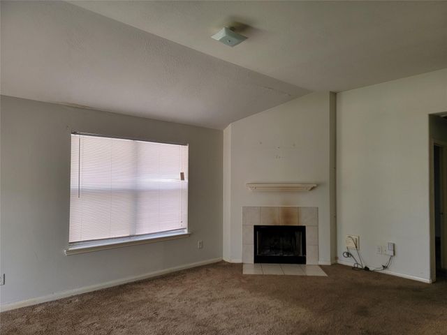 14107 Ballfour Park Lane, Houston, TX 77047
