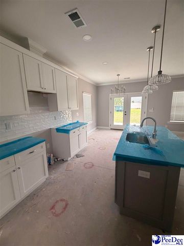 2329 W Billy Farrow Hwy, Hartsville, SC 29550