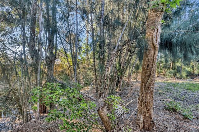 1400 CONRAD DRIVE, New Smyrna Beach, FL 32168