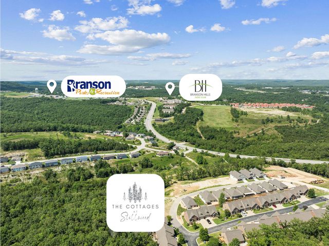 361 Stillwood Drive, Branson, MO 65616