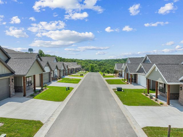 361 Stillwood Drive, Branson, MO 65616