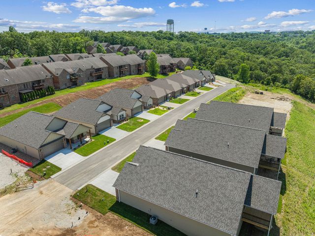 361 Stillwood Drive, Branson, MO 65616