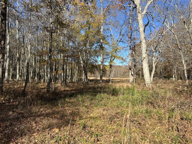 3672 Bains Rd, Hillsboro, TN 37342