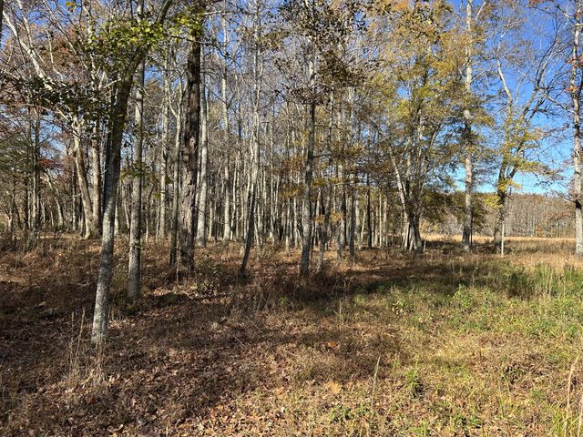 3672 Bains Rd, Hillsboro, TN 37342