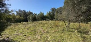 2307 Garfield Street, Inverness, FL 34453