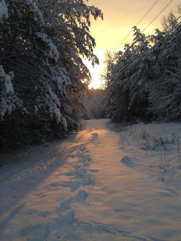 7524 Banther Road, Harrison, TN 37341