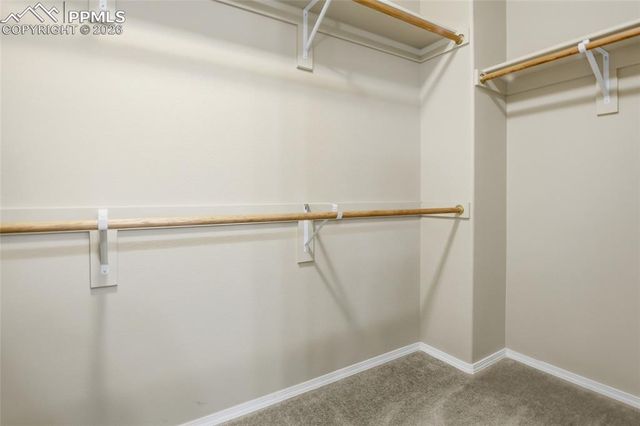 7031 Thorn Brush Way, Colorado Springs, CO 80923