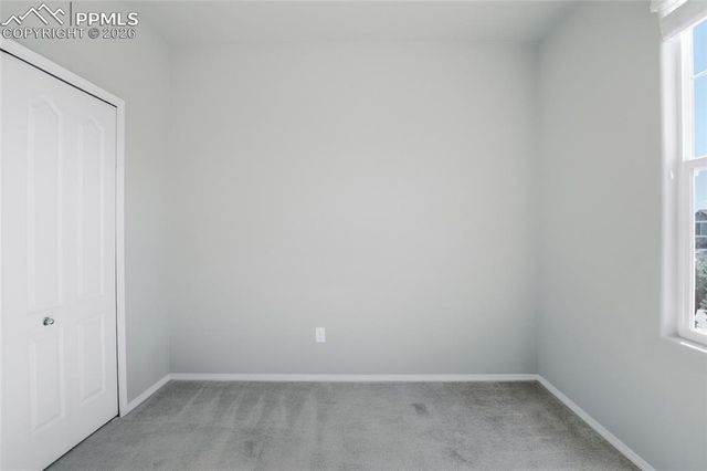 7031 Thorn Brush Way, Colorado Springs, CO 80923