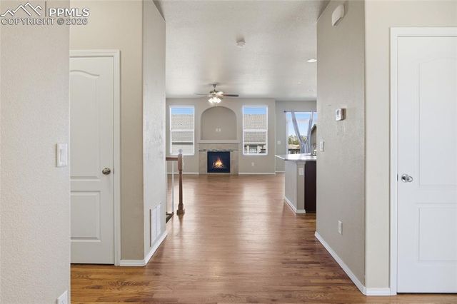 7031 Thorn Brush Way, Colorado Springs, CO 80923