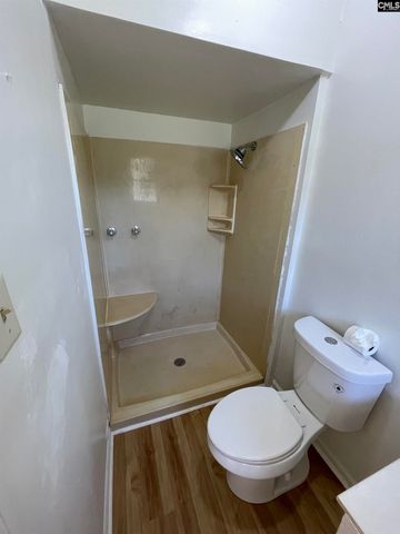 5820 Mt. Bethel Garmany Road, Newberry, SC 29108