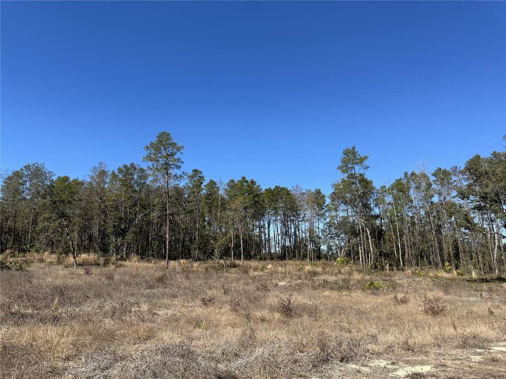 13331 HAVEN TRAIL, Weeki Wachee, FL 34614