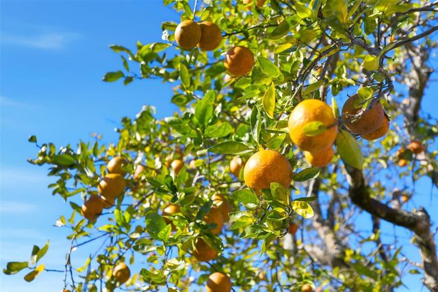 8840 AVA LAKE DRIVE, Orlando, FL 32810