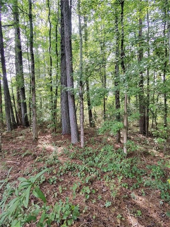0 Post Road, Winston, GA 30187