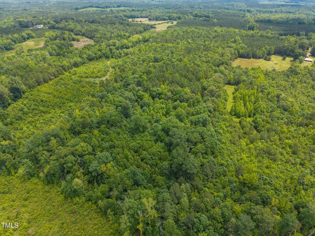 00 Robert Morgan Road, Bullock, NC 27507