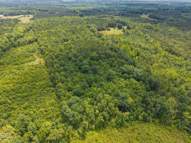 00 Robert Morgan Road, Bullock, NC 27507