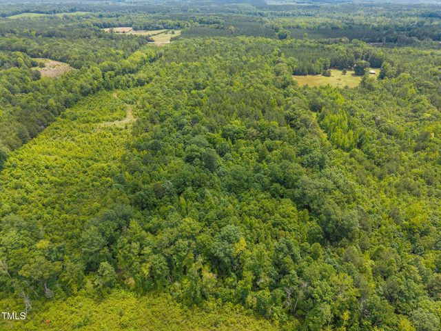 00 Robert Morgan Road, Bullock, NC 27507