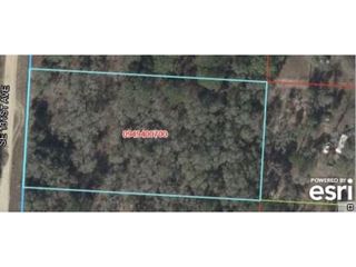 131, Morriston, FL 32668