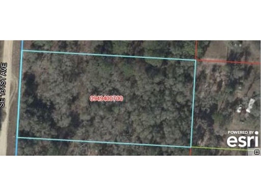 131, Morriston, FL 32668