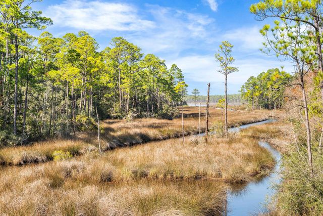 1317 N Co Highway 393, Santa Rosa Beach, FL 32459