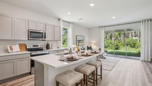 17334 SPANISH OAK LOOP, Land O Lakes, FL 34638
