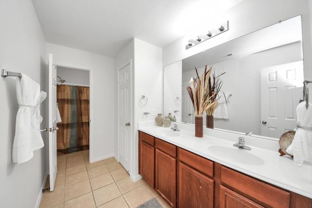 26902 Springflight Lane, Hockley, TX 77447