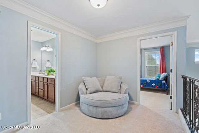 4832 Wedgewood Drive, Olive Branch, MS 38654