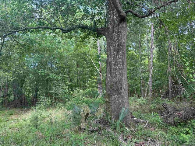 LOT-139 Amite River Rd, Baton Rouge, LA 70817
