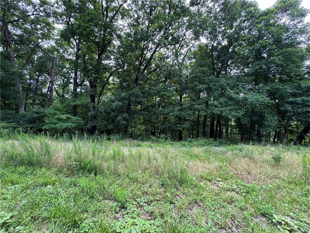 Mercury Lane, Holiday Island, AR 72631