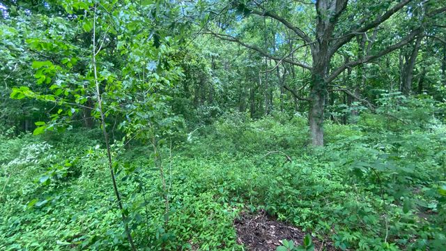 641 Tracey Lane, Brighton, MI 48114