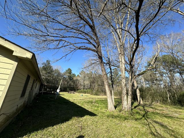1030 Mangum Road, Livingston, TX 77351