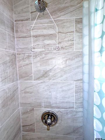 700 CR 2316, Pittsburg, TX 75686