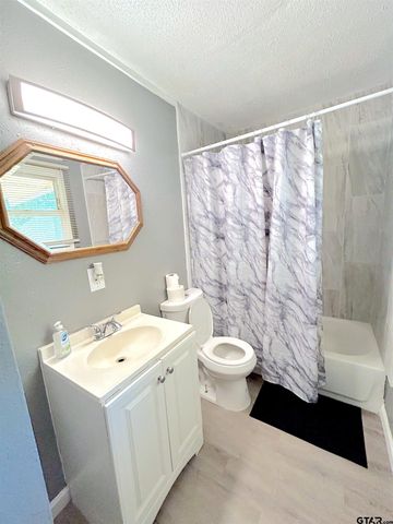 700 CR 2316, Pittsburg, TX 75686