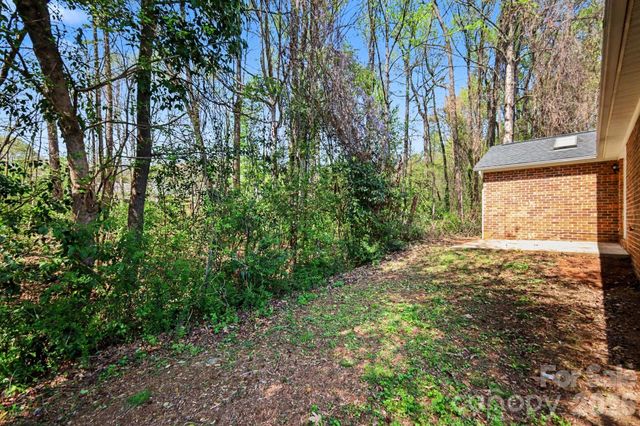 1117 Capps Hollow Drive, Charlotte, NC 28216