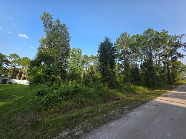 1233 EAST PARKWAY, Deland, FL 32724