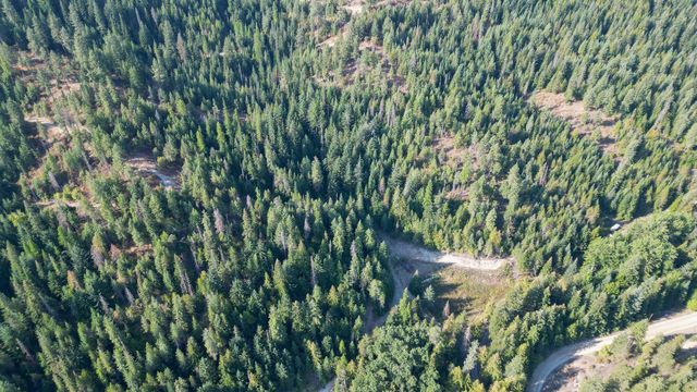 20104 E Mountain View Rd, Newman Lake, WA 99025