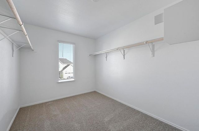 229 Frogmore LOOP, Kyle, TX 78640