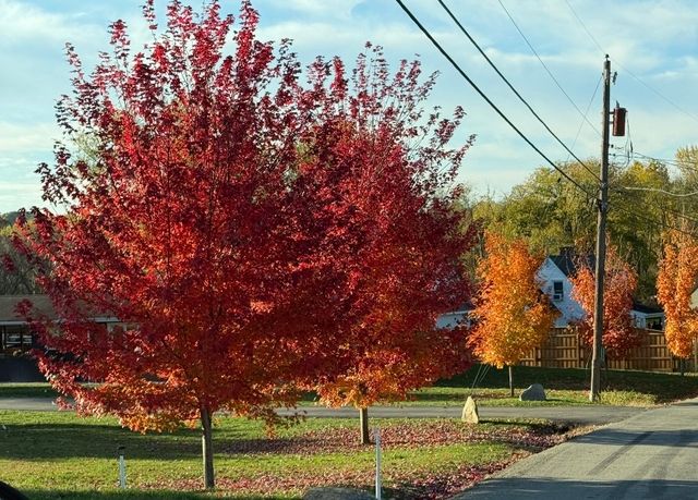 1576 E Laurel Circle, Mt Pleasant Twp, PA 15666