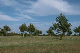 The Vineyards at Selah, Norman, OK 73072