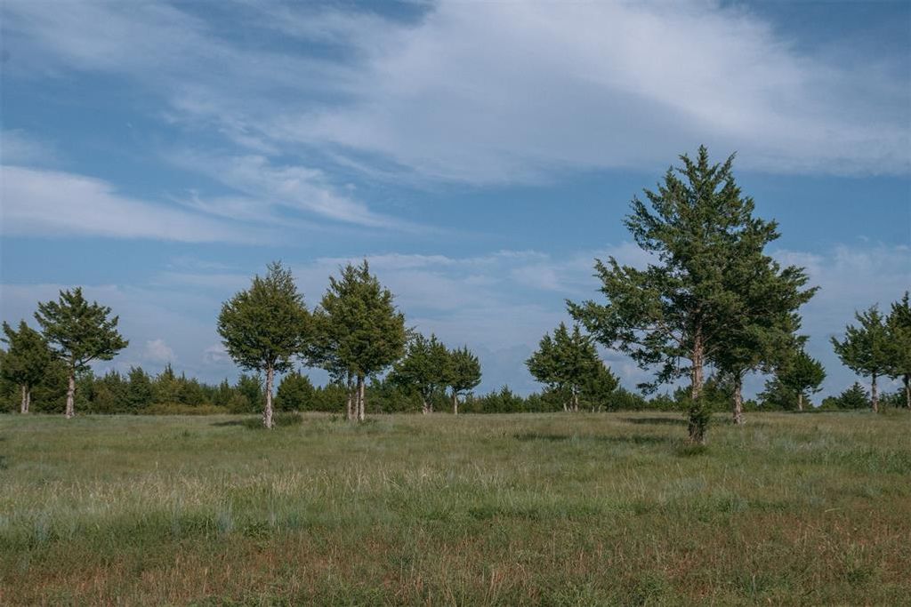 The Vineyards at Selah, Norman, OK 73072