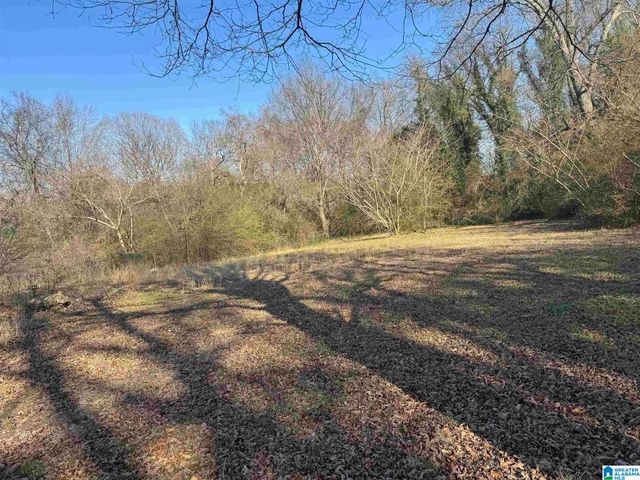 1137 7TH AVENUE, Pleasant Grove, AL 35127